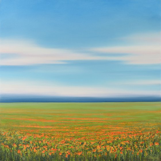 Flower Field - Blue Sky Landscape