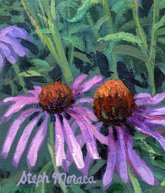 Purple Coneflowers