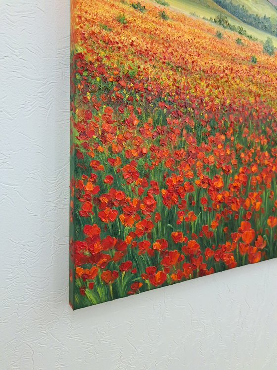 "Orange sunset", field of poppies landscape