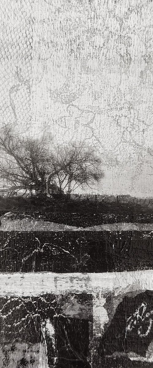 Ardent by Roseanne Jones