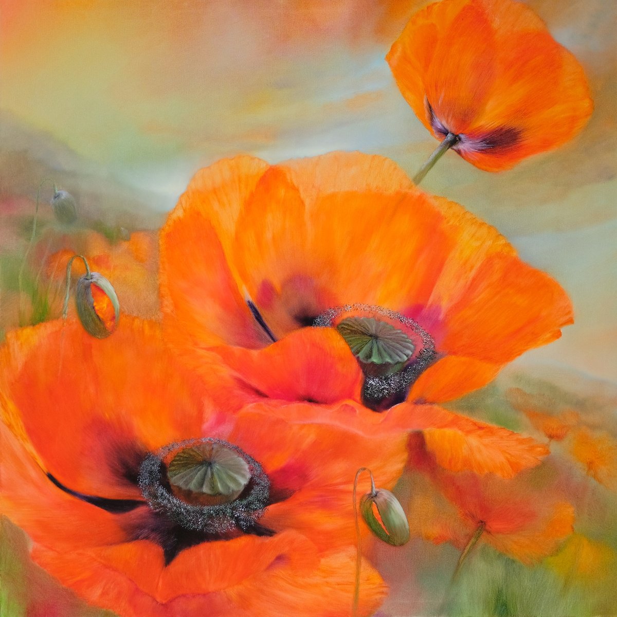 Photorealistic Botanical Oil Painting By Annette Schmucker, 47 X 47, Sunny Prospects - Red Poppies, Original Artwork