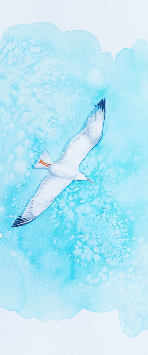 Flying gull by Karina Danylchuk