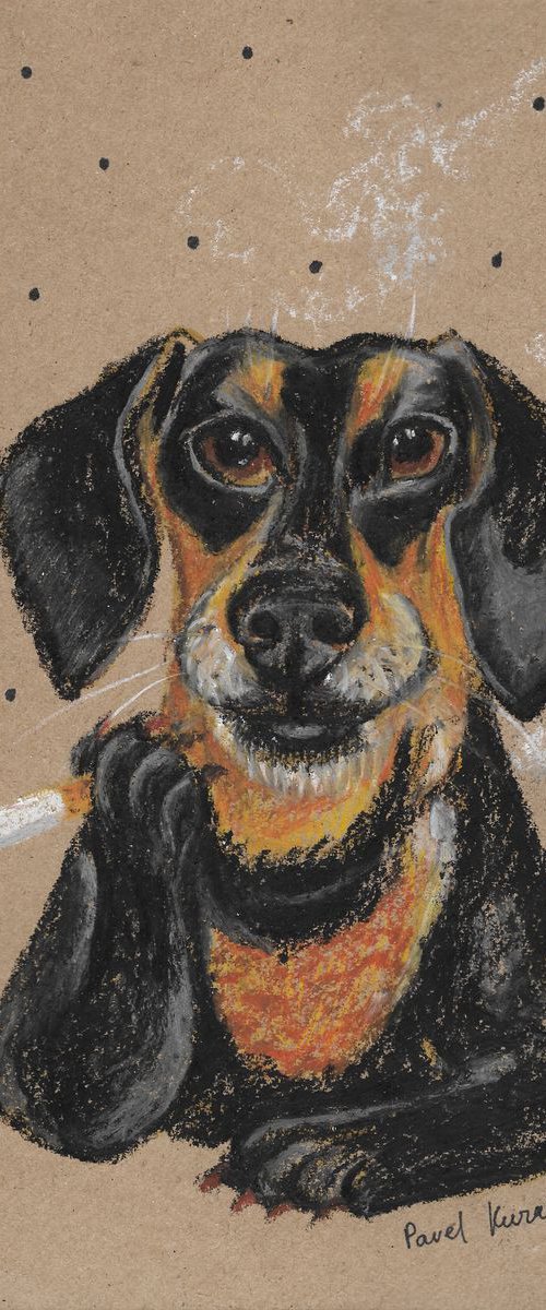 Smoking Dachshund by Pavel Kuragin
