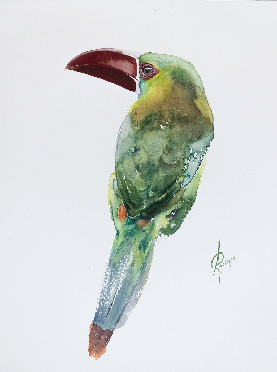 Animal Watercolour By Andrzej Rabiega, 12 X 16, Crimson-Rumped Toucanet, Original Artwork