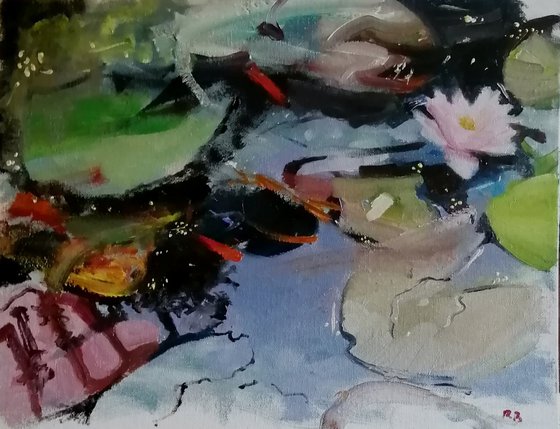 Pond patterns