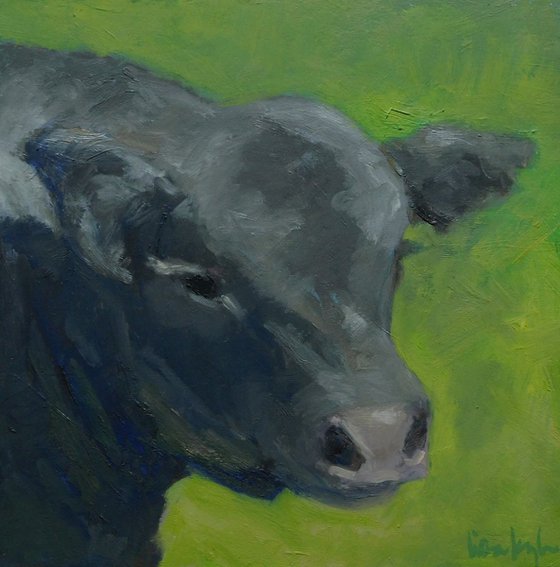 Portrait of a Cow