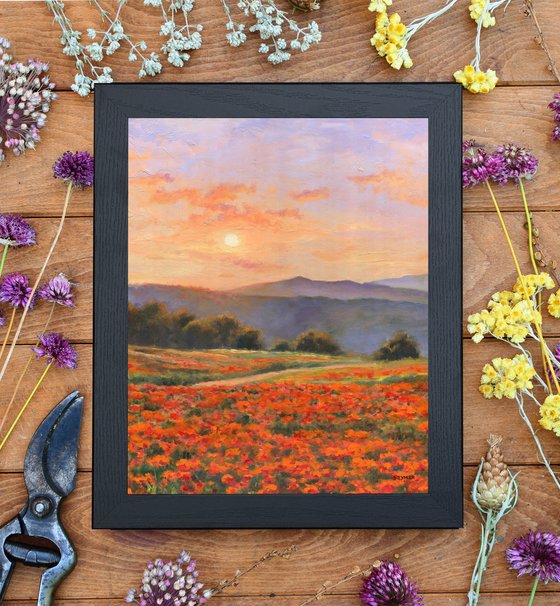 'Peaceful poppy field'