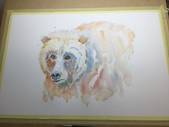 Grizzly portrait