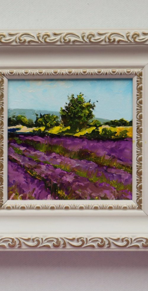 Lavender Farm by Natalia Shaykina
