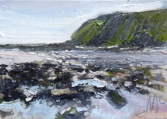 Rock Pools at St Bees Head III