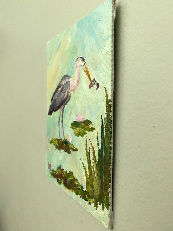 Fishing heron