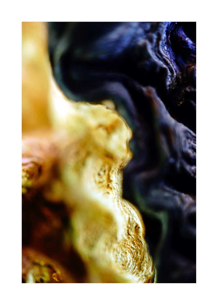 Abstract Nature Photography 100 (LIMITED EDITION OF 15) by Richard Vloemans