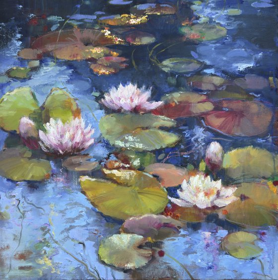 Water lilies