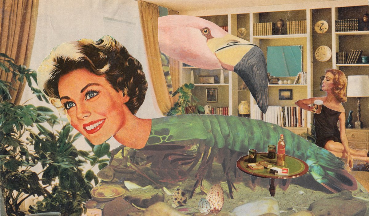 Portrait Collage By Jon Garbet, 10 X 6, Ladies