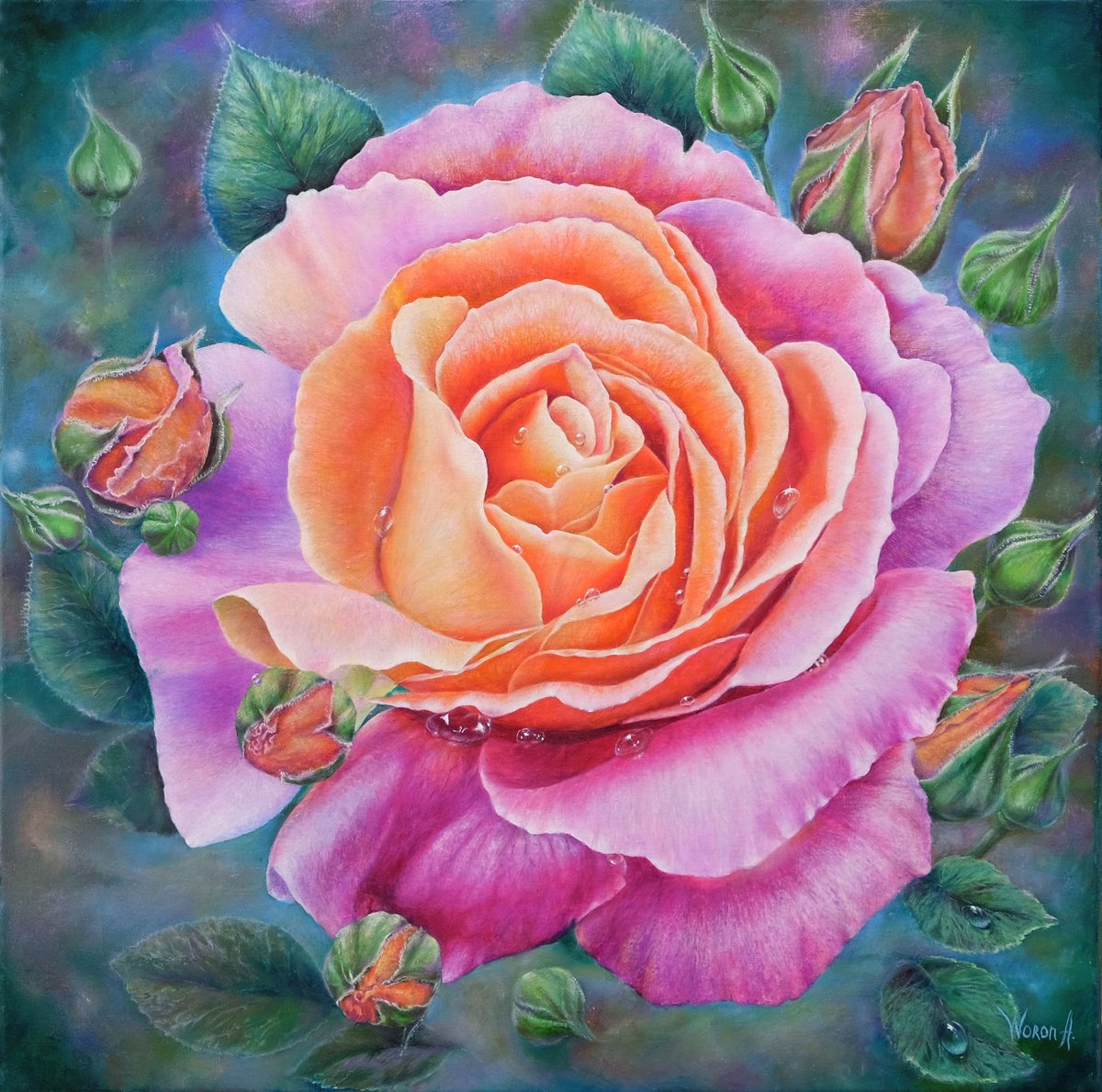 Botanical Oil Painting By Anastasia Woron, 16 X 16, Rose At Dawn, Original Artwork