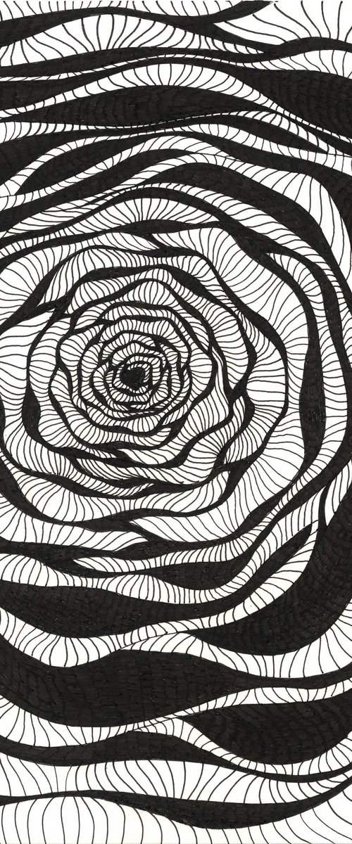 OP ART ROSE by Nives Palmić