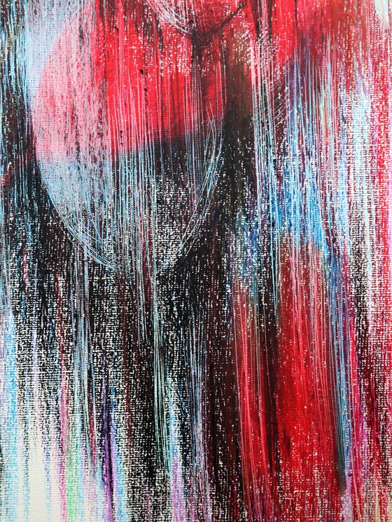 Multicolored Tulips 2