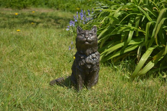Longhaired Cat BR