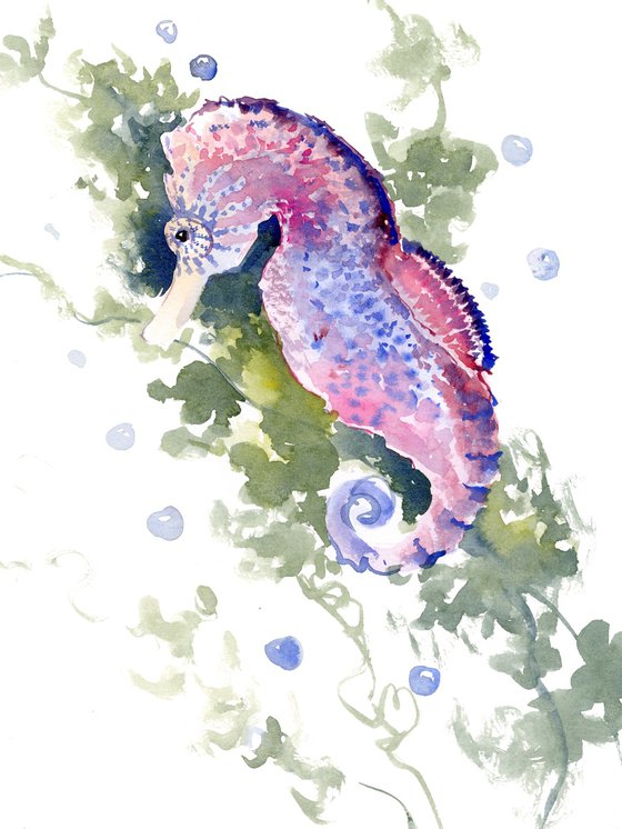 Seahorse