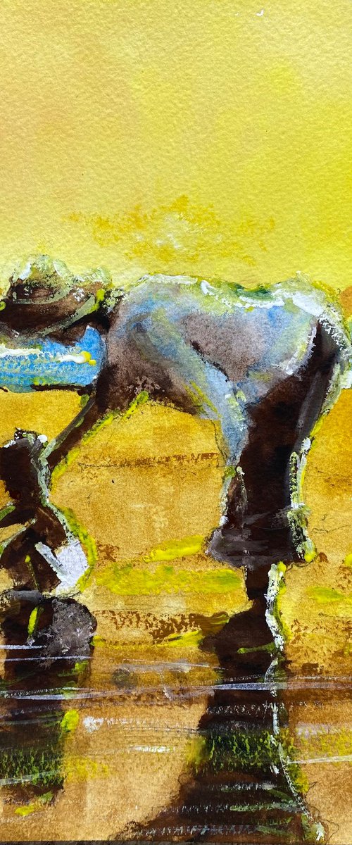 Grandma in the tidal pools ….. by Paul Mitchell