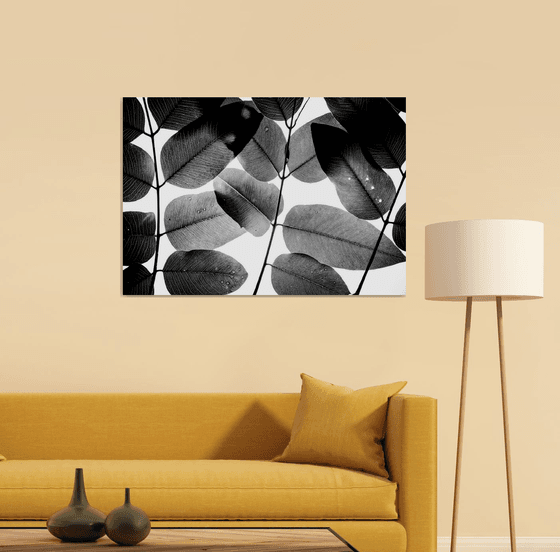 Experiments with Leaves II | Limited Edition Fine Art Print 1 of 10 | 90 x 60 cm