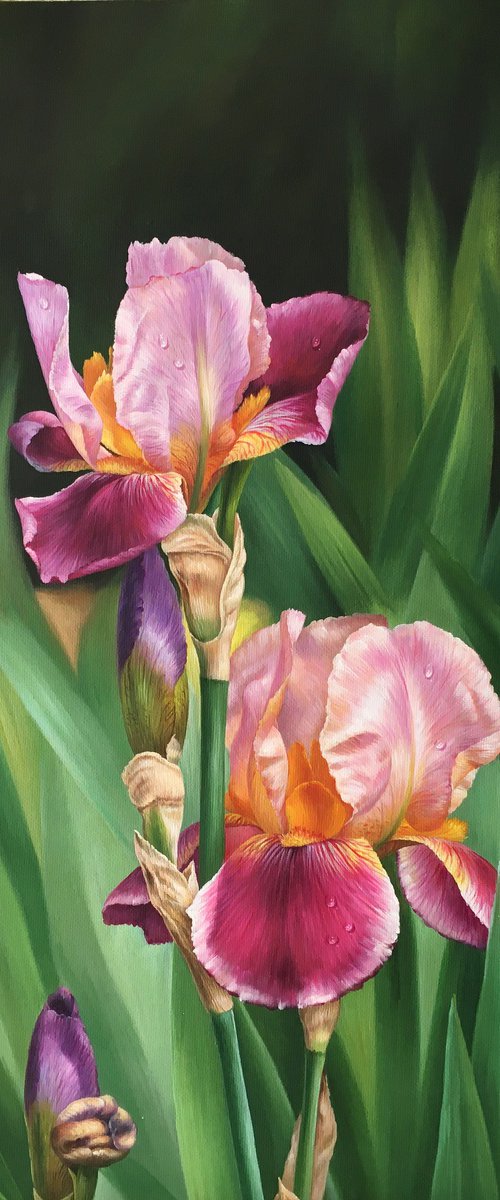 Realism oil painting:flowers t225 by Kunlong Wang