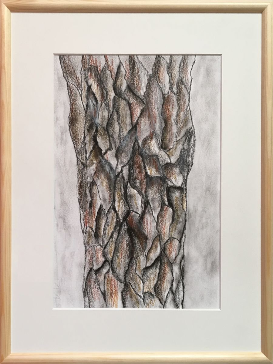 Abstract: bark I by Paola Consonni