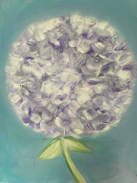 A Soft Wish