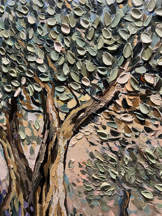 Lavender and Olive Trees