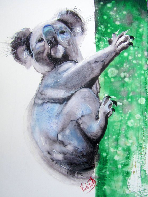 The Koala