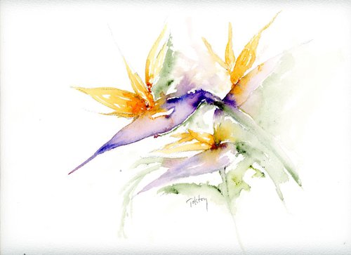 Three Birds of Paradise by Alex Tolstoy