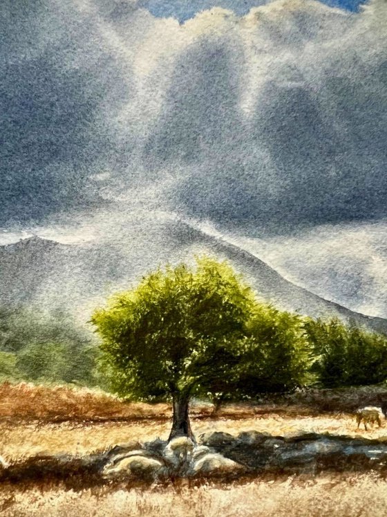 Countryside Mallorca