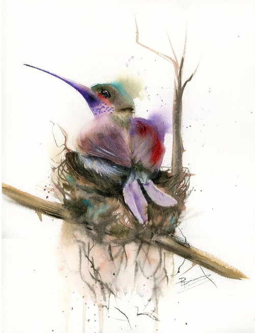 Hummingbird in the nest (1) by Olga Shefranov (Tchefranov)