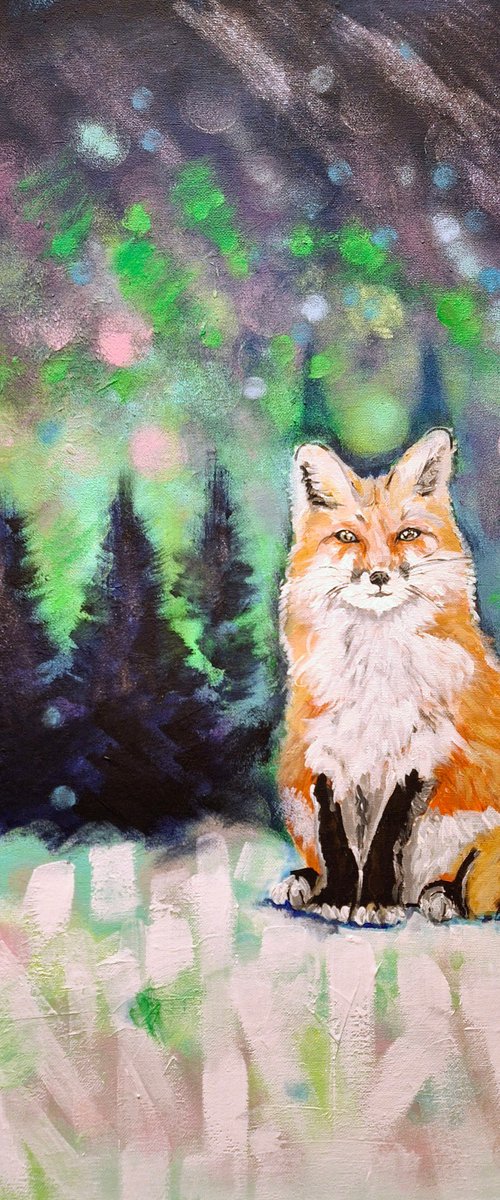 Northern Lights by Jelena Nova