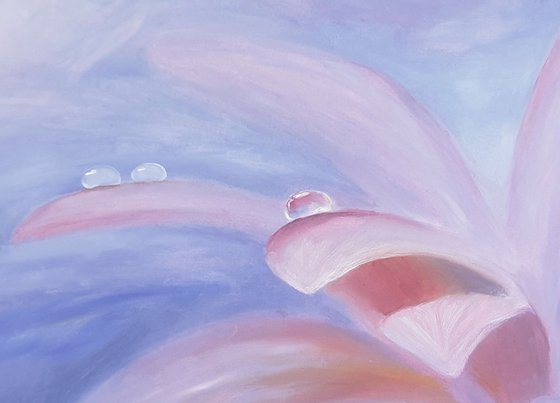 Dew. Sunrise. Floral Oil Painting on Canvas