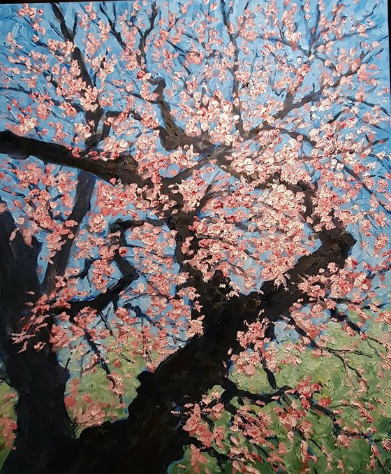 blossom tree IV