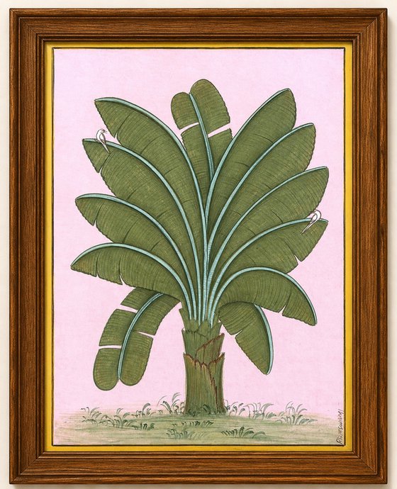 Royal Banana Plant | Miniature Painting