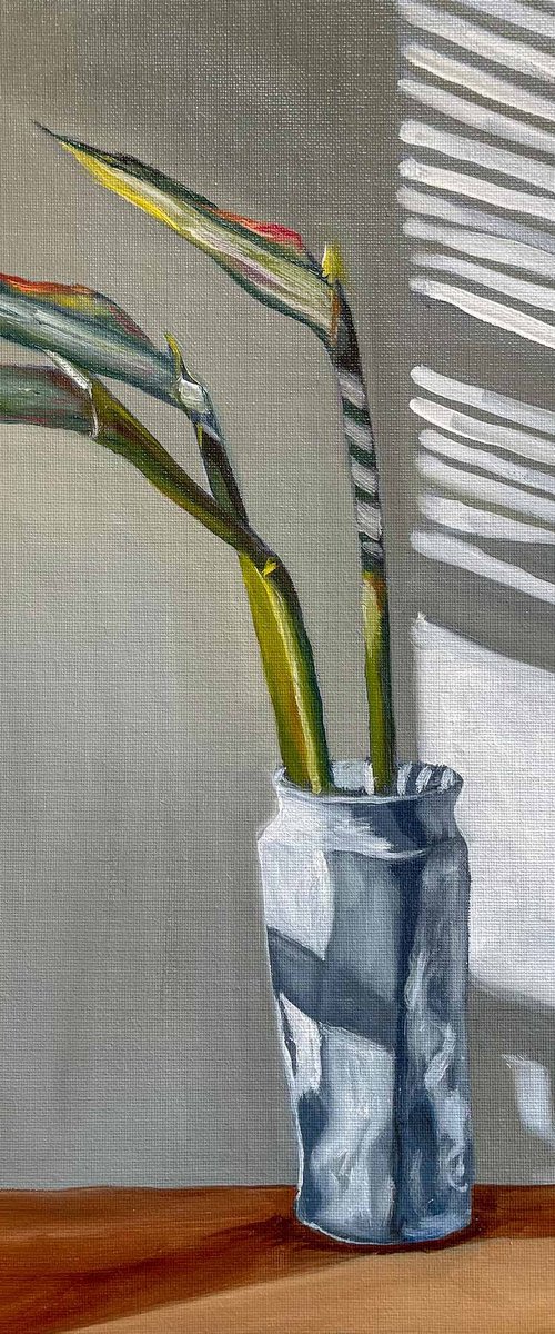 Birds of Paradise by Eve Devore