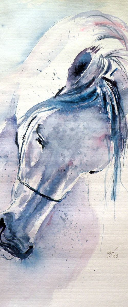 White horse by Kovács Anna Brigitta
