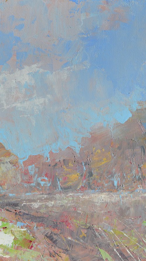 First winter snow by Tom Cringle