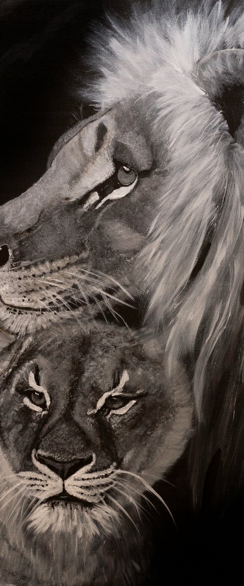 Lion love by Margarita Telianidis