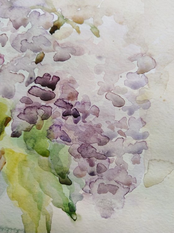 Lilac. Original watercolor painting.