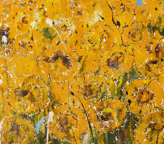 Sunflowers Horizon