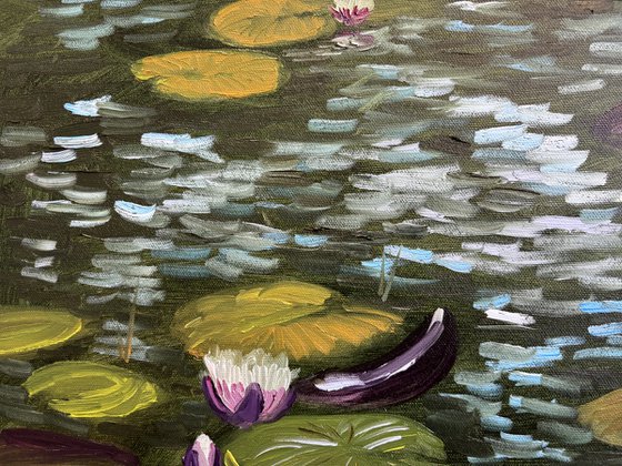 Water Lilies in the Sunlight