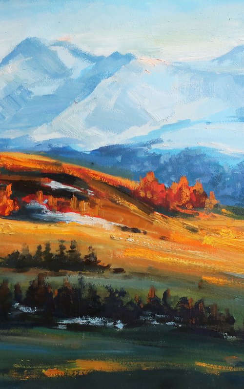 Mountains by Anna Shchapova