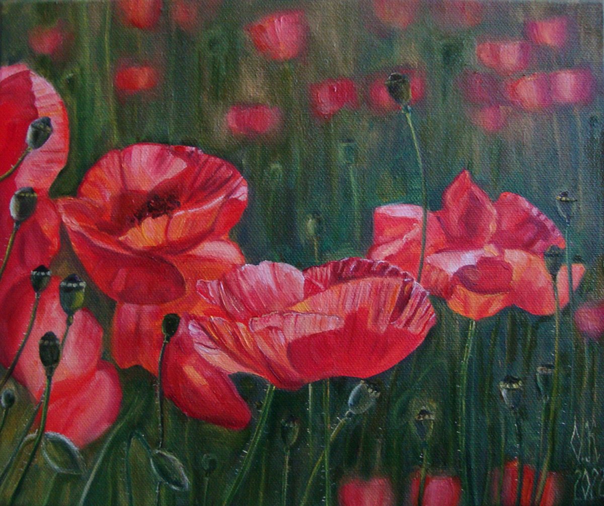 Field of poppies by Olga Knezevic