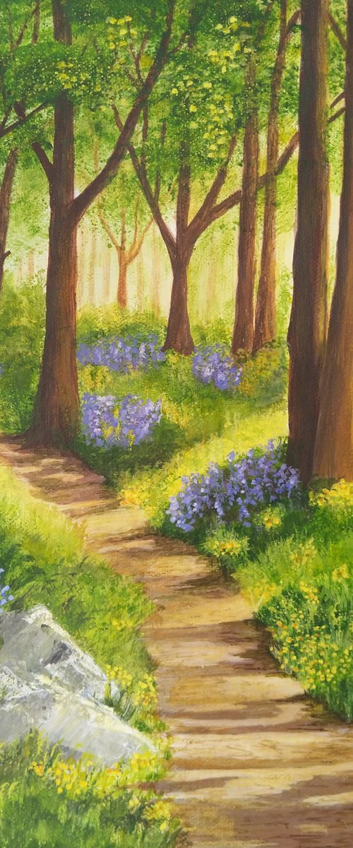 A walk in a sunlit wood by Anne-Marie Ellis