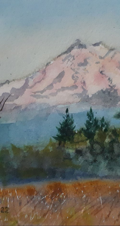 Mountain landscape... /  ORIGINAL WATERCOLOR  PAINTING by Salana Art Gallery