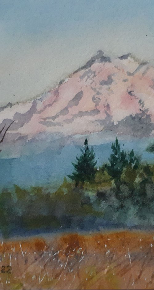 Mountain landscape... /  ORIGINAL WATERCOLOR  PAINTING by Salana Art