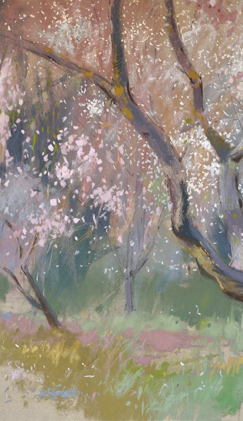 Under the almond blossoms by Victoria Ramanovich